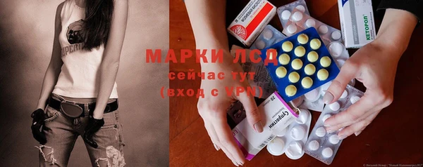 прущие грибы Балахна
