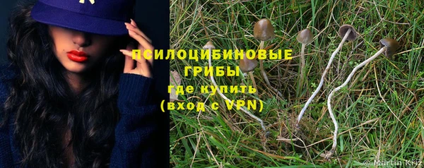 прущие грибы Балахна