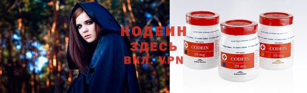 прущие грибы Балахна