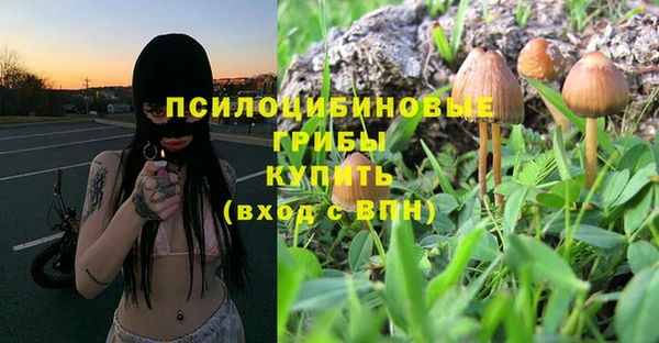 прущие грибы Балахна