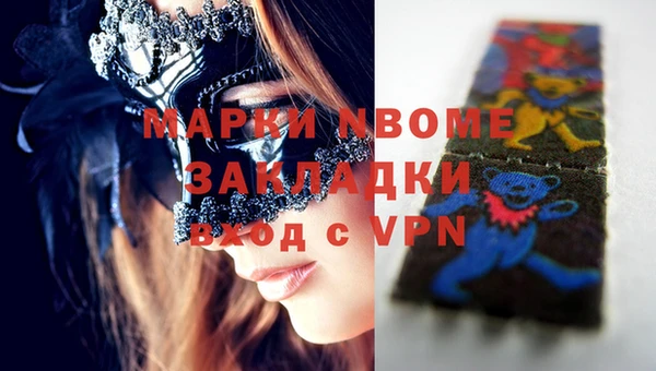 прущие грибы Балахна