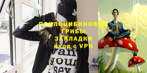 прущие грибы Балахна