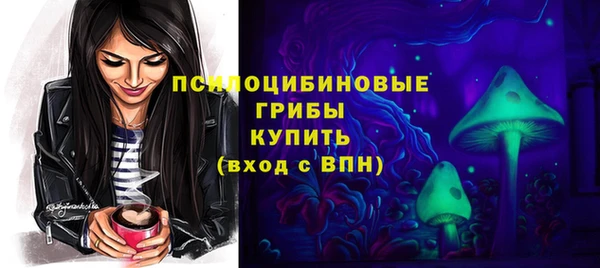 прущие грибы Балахна